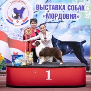 31 мая 2025
