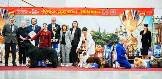 #mas #avedinis Прекрасное начало года  17-18.01.26 Тюмень, рейтинг Ave Dinornis Trigger 2 x BOB, 2 x BIG, Res.BIS Благодарим уважаемый судей Юлию Олькову, Алексея Белкина, Валерия Белякова 